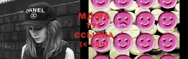 хмурый Арсеньев