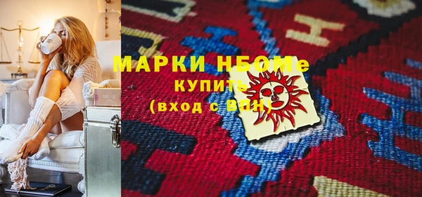 хмурый Арсеньев