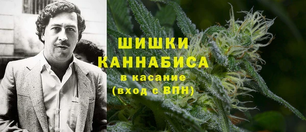 хмурый Арсеньев