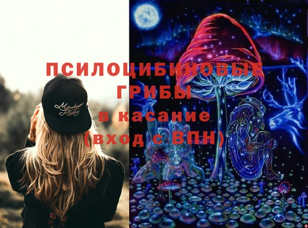 хмурый Арсеньев