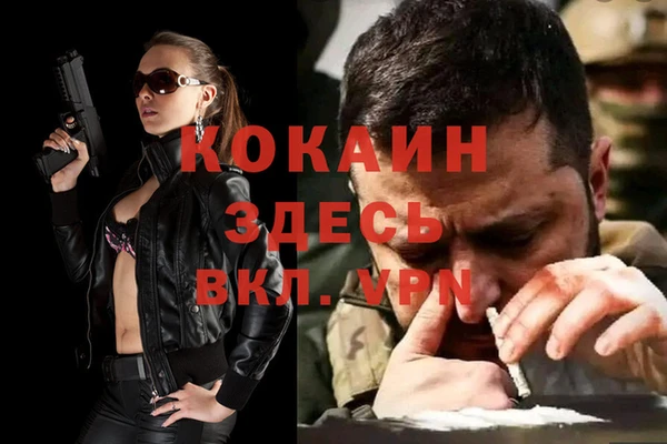 хмурый Арсеньев