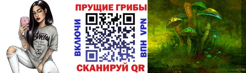 Псилоцибиновые грибы мицелий  Удомля 