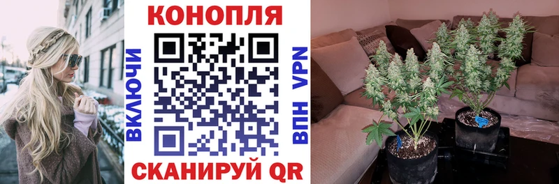 Канабис конопля купить закладку Удомля